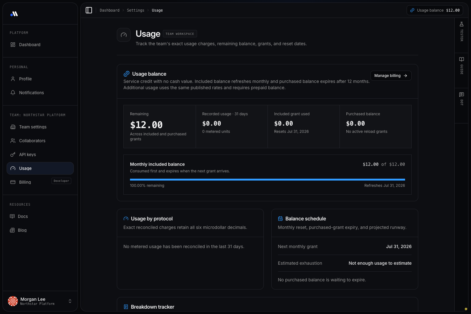 DotMock usage page showing remaining balance, monthly included grant, protocol usage, schedule, and breakdown tracker